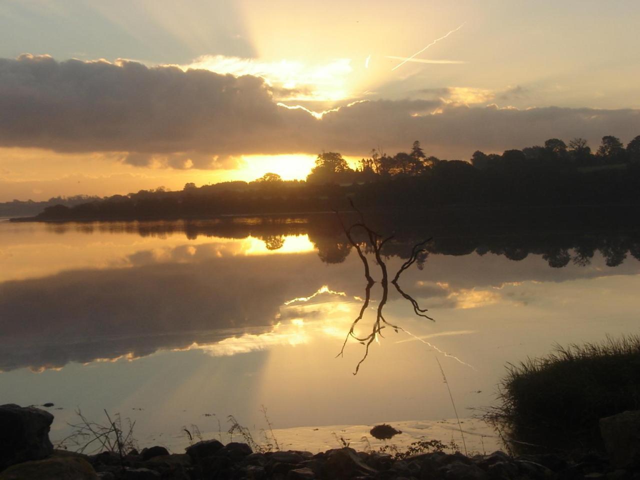 Ferrycarrig Hotel Екстер'єр фото